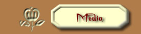 max audio & video